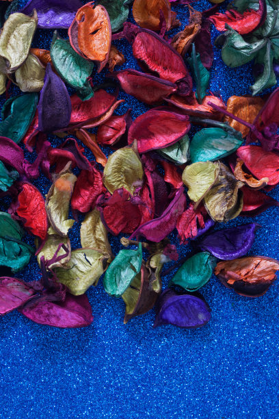 明亮的多色叶子和花瓣干花在明亮的蓝色背景。空白的不寻常的贺卡或邀请卡为一个创造性的会议。本空间图片下载