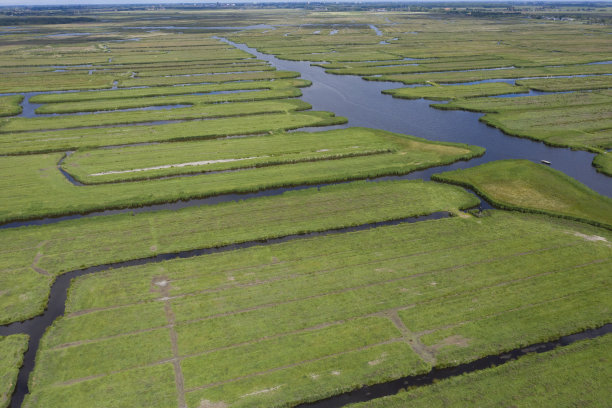 无人机拍摄的荷兰圩田景观全景照片图片下载