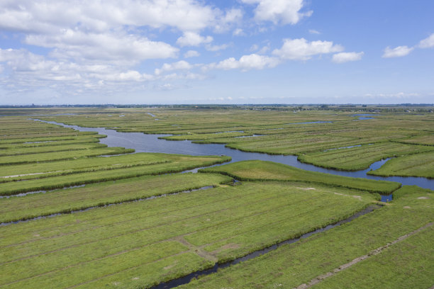 无人机拍摄的荷兰圩田景观全景照片图片下载