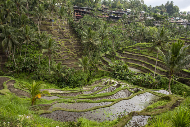 梯田图片下载