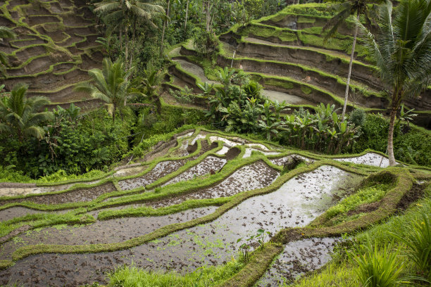 梯田图片下载