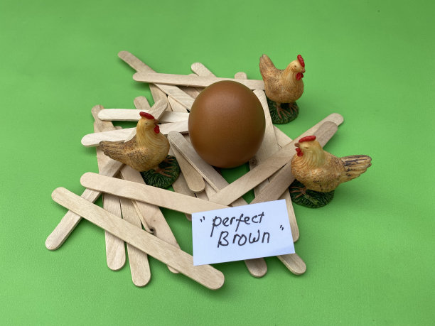 蛋壳质量问题，矿物质，色素，饲料质量图片下载