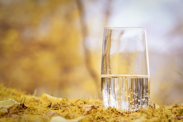 一杯纯净的矿泉水映衬着秋日森林的copy空间。黄色的树叶背景健康的生活方式。图片下载