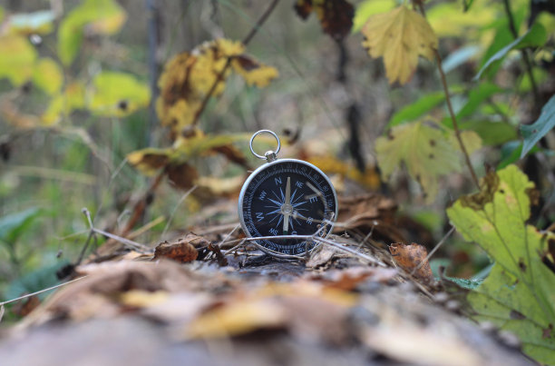 自然背景上的经典罗盘图片下载