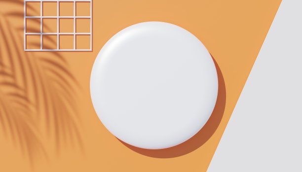 3d渲染顶部视图的白色空白圆柱形框架模拟和展示产品的棕榈叶的阴影，地球色调，或柔和的墙背景。创意概念。寡妇的影子。图片下载