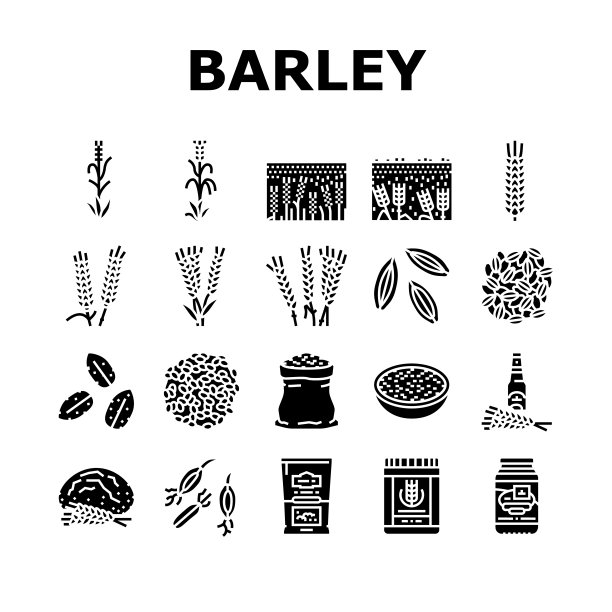大麦谷物谷物收获图标设置矢量图片下载