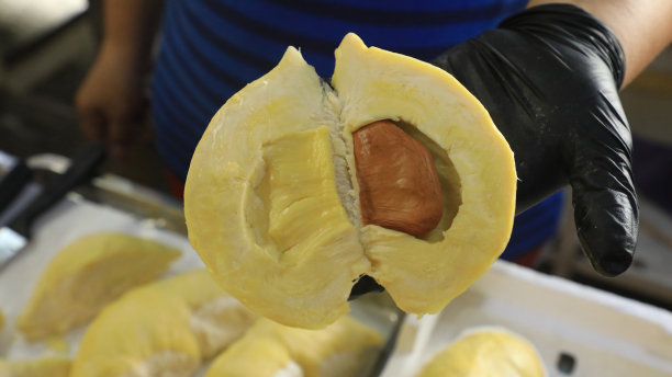 水果,食物图片下载