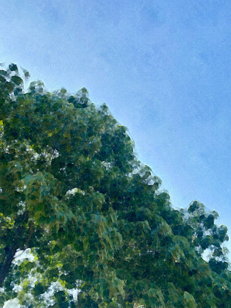 美丽的垂直油画，树叶和蓝色的天空为背景图片下载