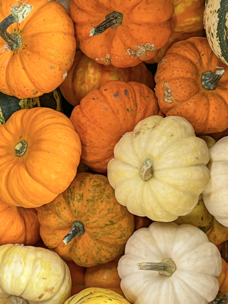 高角度观看美丽的万圣节南瓜图片下载