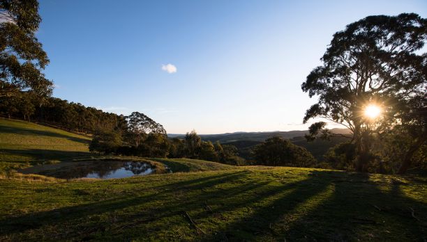 日出时绿色草地和湖泊的风景照片图片下载