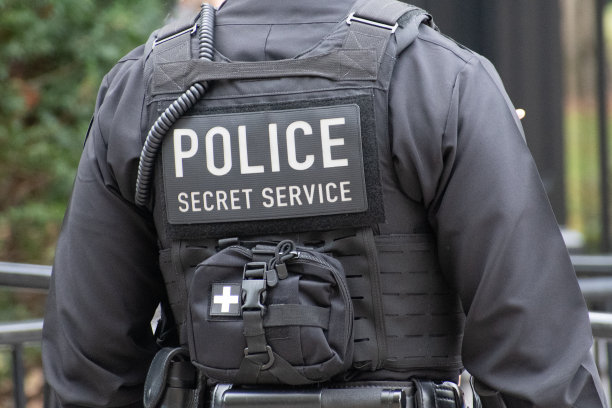 警察秘密服务图片下载