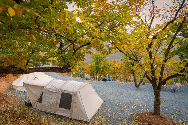 秋天在树林里露营图片下载