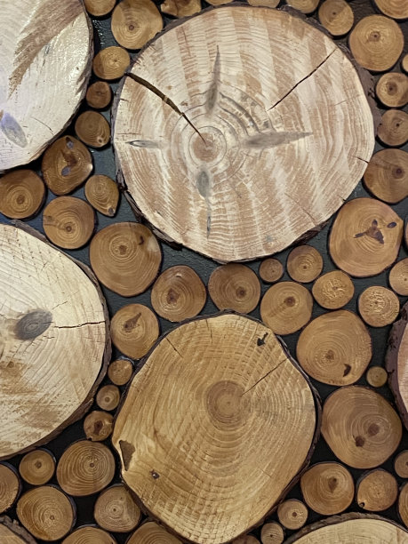 原木横截面图片下载