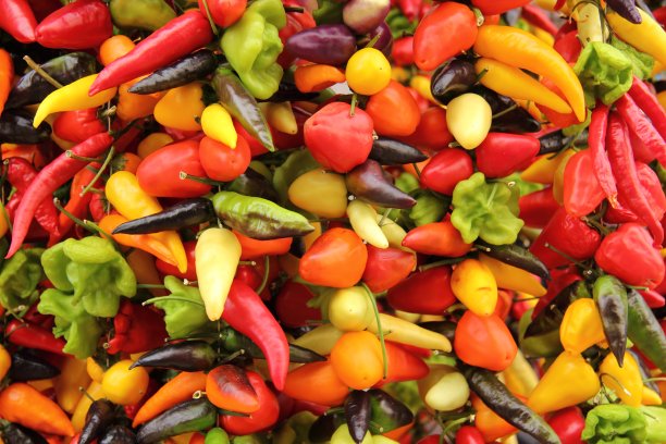 辣椒是广告图片下载