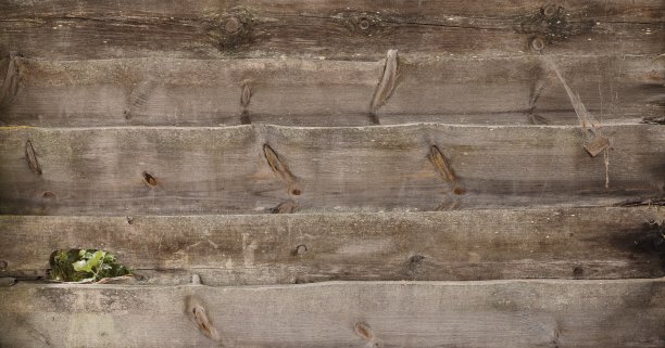 一堵饱经风霜的旧木墙图片下载