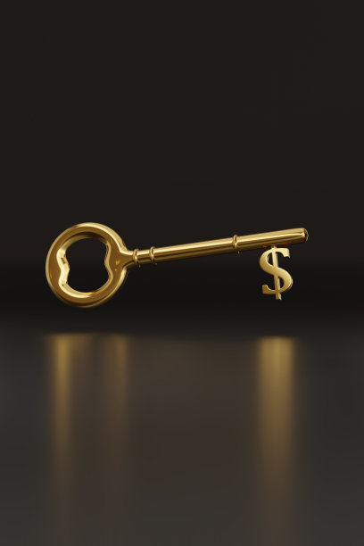 带美元符号的金钥匙，还有复制空间。3 d演示。图片下载