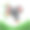 卡通可爱的考拉水彩风格孤立的白色背景图片下载