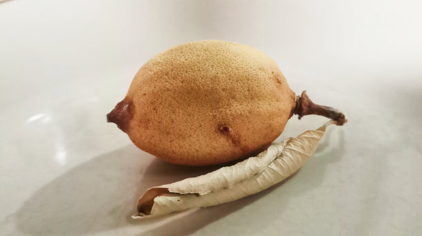 干柠檬照片
背景图片下载