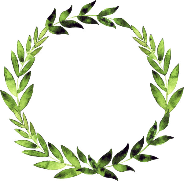 手绘水彩绿月桂花环，植物绿叶镶边图片下载