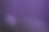 猫看夜景图片下载