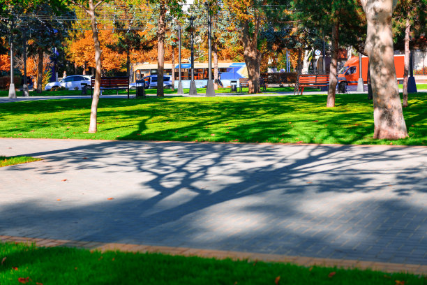 明媚的晴天在秋天的城市公园，绿色的草坪，和黄色的树叶，街道图片下载