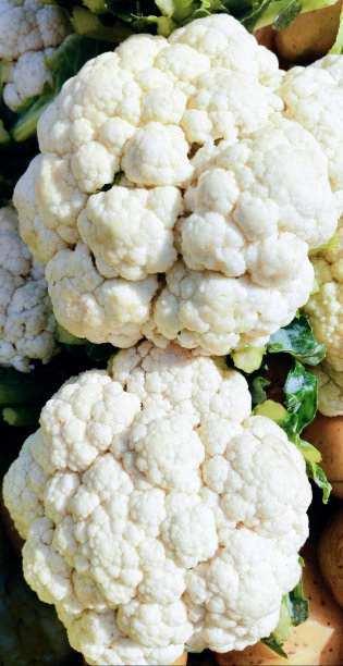花椰菜 戈比 乔弗勒布鲁门科尔 大肠杆菌 花椰菜 科利富拉瓦 库夫拉夫弗洛 拉西卡 芸苔科尔-作物 凯华卡纳比特 卡里夫拉瓦佩拉沃 菲拉戈皮 普拉卡皮 蔬菜食品 特写视图 图片 库存照片图片下载