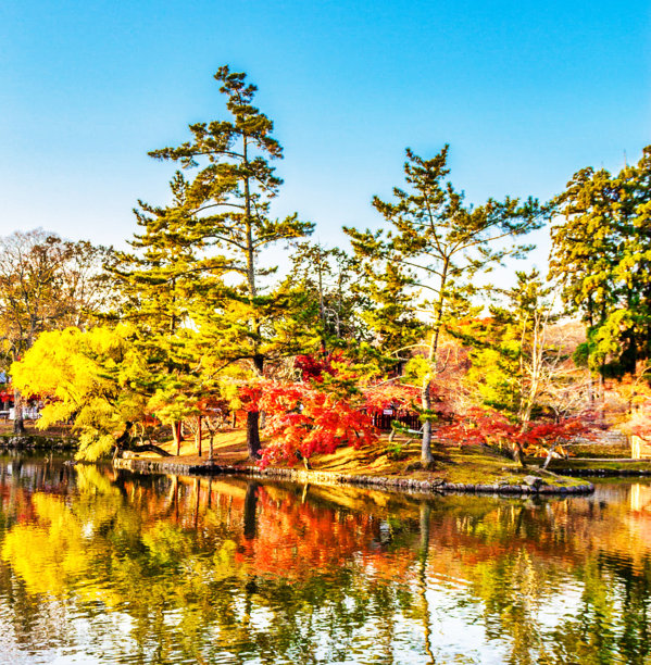 创造性的奈良,日本的照片图片下载