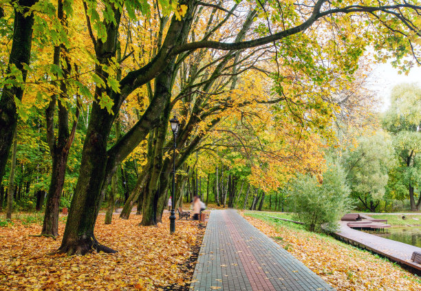 莫斯科州的秋天图片下载