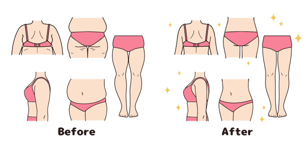 身体部位饮食，前后设定。图片下载