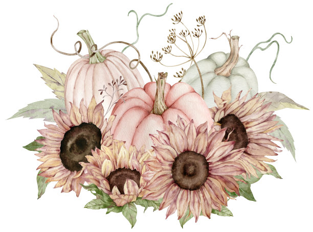 用向日葵、落叶和莳萝花装饰的南瓜水彩插画。图片下载