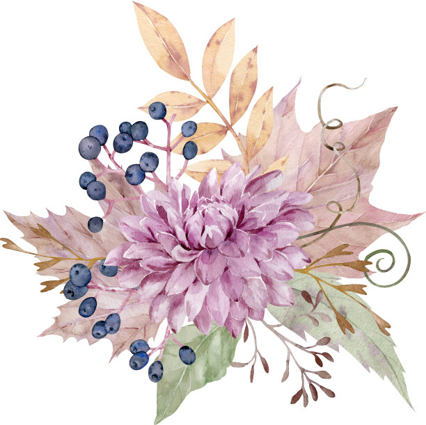 水彩秋季花束。黄秋叶，紫菀花，浆果。彩色插图。图片下载