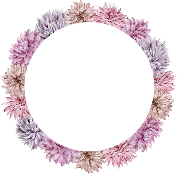 水彩花圈框。秋紫菀和大丽花在白色背景上孤立的花环。紫色的花。图片下载