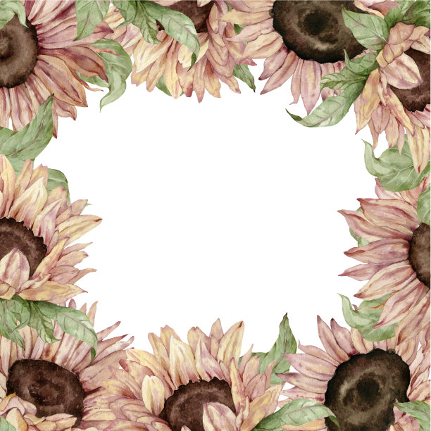 向日葵框架。水彩黄褐色花卡设计。手绘插图。向日葵框架。图片下载