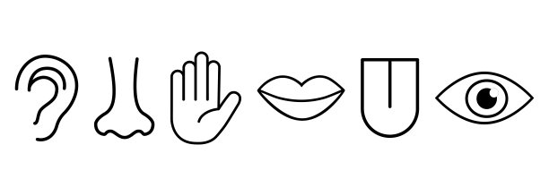 人类五种感官的图标集:视觉(眼睛)，嗅觉(鼻子)，听觉(耳朵)，触觉(手)，味觉(嘴和舌头)。简单，最小的线图标矢量插图。图片下载