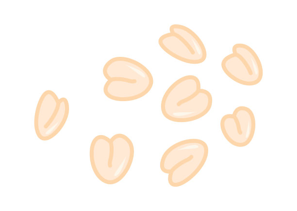 燕麦粒图标。矢量图图片下载