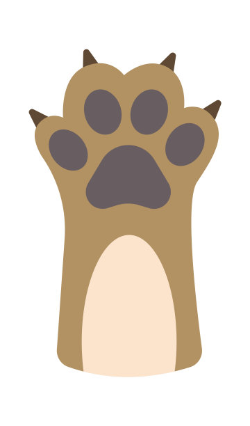 猫爪小猫腿。矢量图图片下载