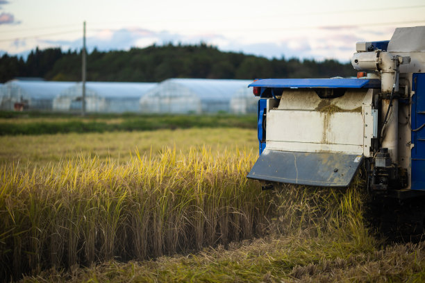 特写的水稻收割机机器收割作物图片下载