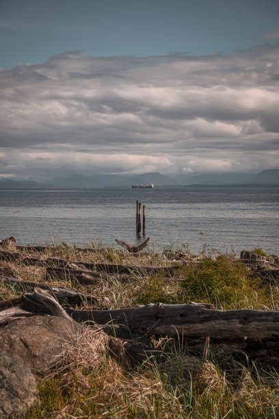 加拿大卑斯省温哥华岛坎贝尔河的牡蛎湾图片下载