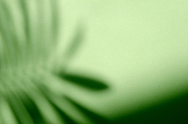 绿色植物背景与阴影和阳光。图片下载