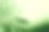 绿色植物背景与阴影和阳光。图片下载