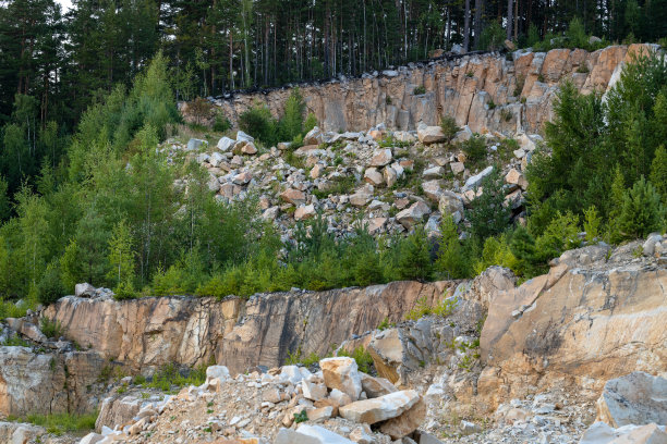 采石场的岩石，石头上生长的绿树图片下载