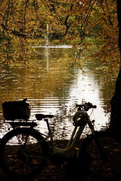沿着秋天的巷子骑自行车。一辆站在秋叶上的自行车。一个骑自行车的人沿着秋天的小路骑行。秋天骑自行车。图片下载