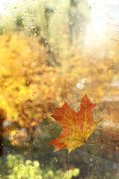 秋天的早晨视图图片下载