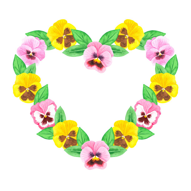 一颗紫罗兰的心。三色紫罗兰。水彩插图。孤立在白色背景上。图片下载