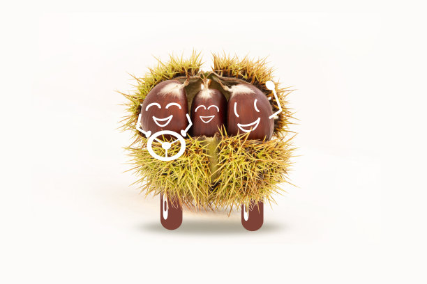 生态交通工具说明图片下载