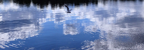 艺术全景照片的海鸥鸟飞过镜面般的湖与一个美丽和多云的天空的倒影图片下载