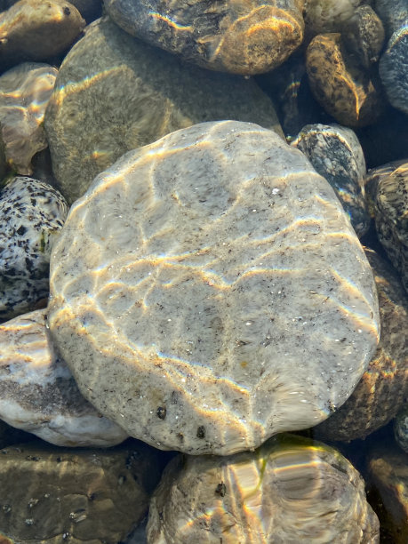 河石水下。图片下载