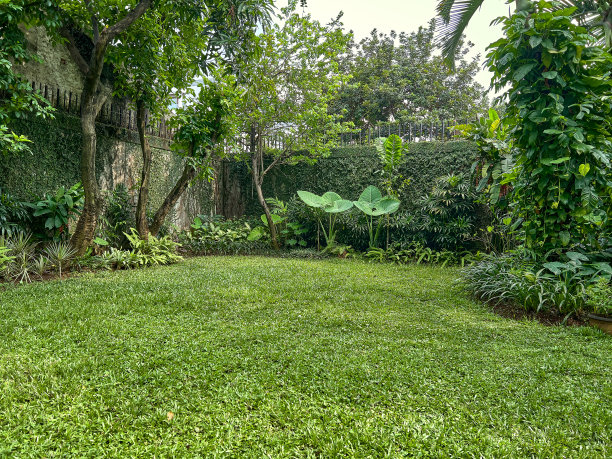 绿色后院花园森林的想法图片下载