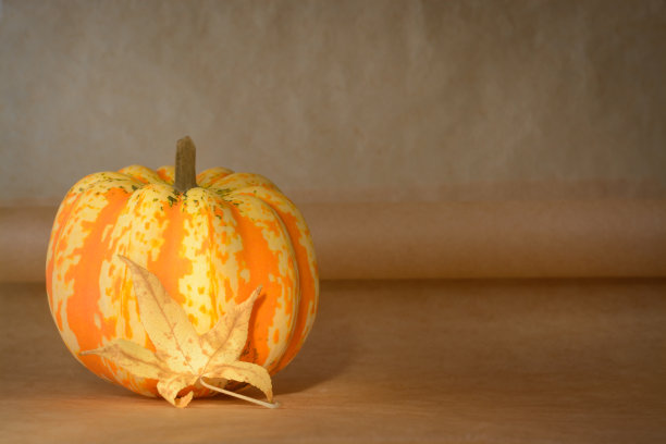 暗米色背景与橙色南瓜和枫叶与复制空间图片下载