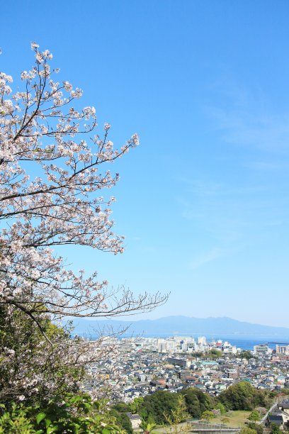 从公园看春天的景色图片下载